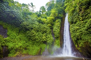 waterfall-exotic-tourism-rest-equator-bali-indonesia_443598-264